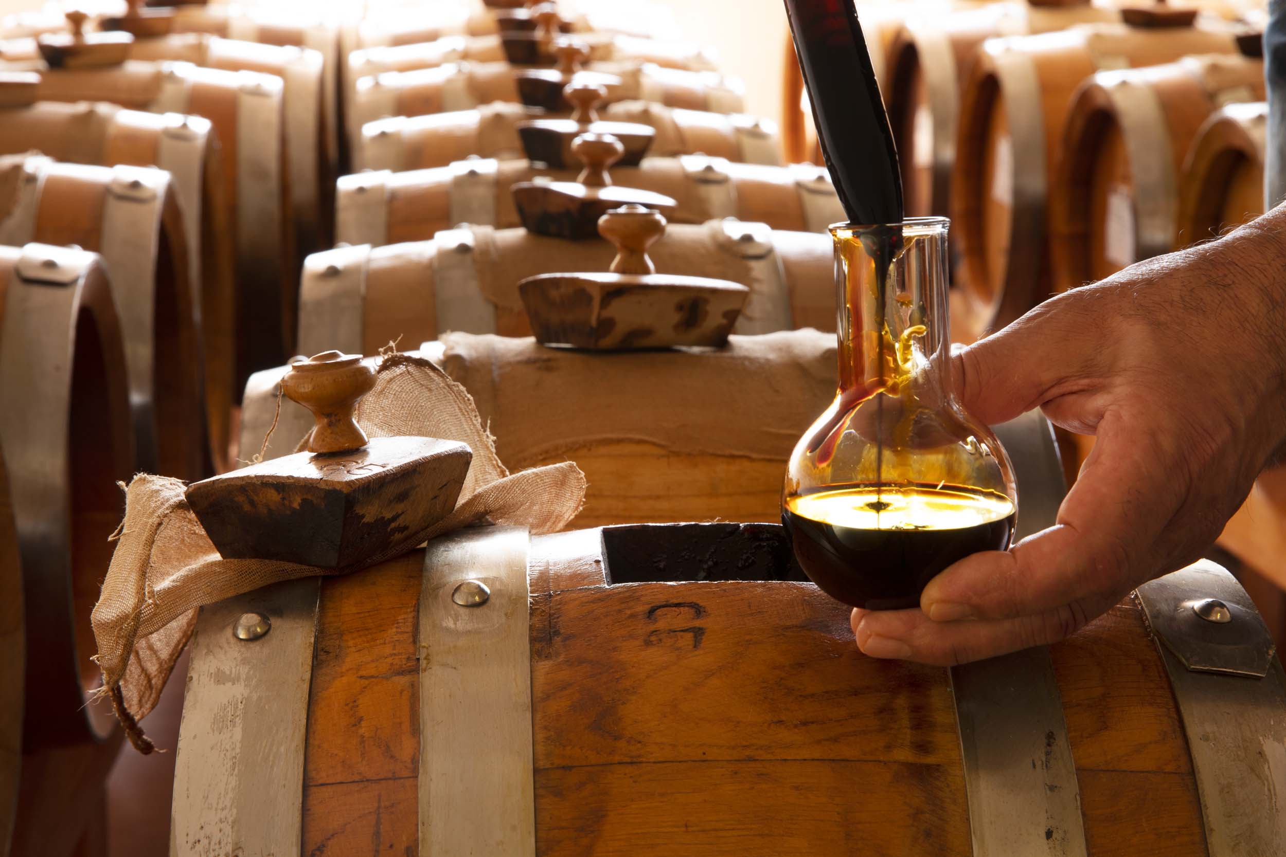 Balsamic Vinegar of Modena PDO vs PGI, What’s the difference